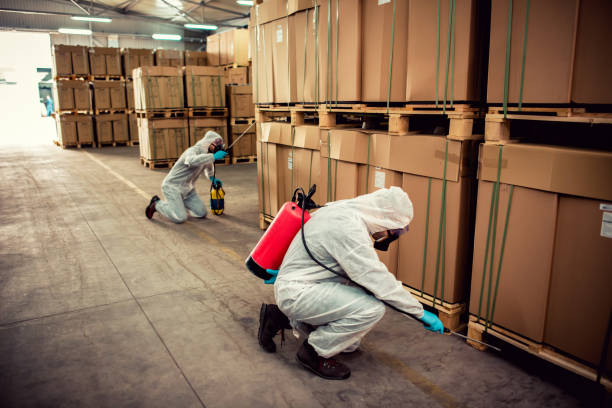 Professional Pest Control in Fruitdale, CA